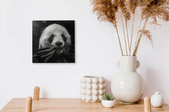 Canvas schilderij 20x20 cm - Wanddecoratie Dieren - Panda - Jungle - Muurdecoratie woonkamer - Slaapkamer decoratie - Kamer accessoires - Schilderijen op canvas