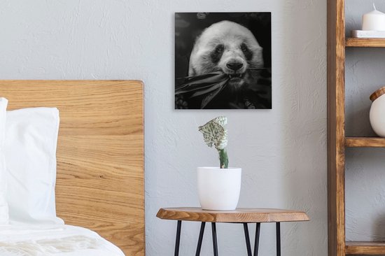Canvas schilderij 20x20 cm - Wanddecoratie Dieren - Panda - Jungle - Muurdecoratie woonkamer - Slaapkamer decoratie - Kamer accessoires - Schilderijen op canvas