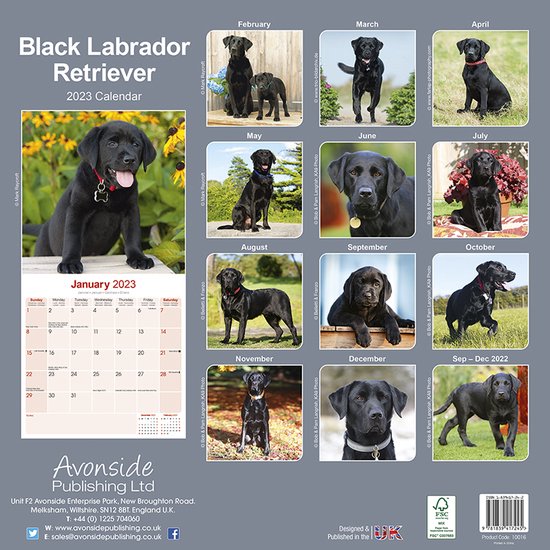 Labrador Retriever Zwart Kalender 2023 bol