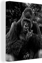 Canvas Schilderij Een gorilla in het oerwoud - zwart wit - 30x40 cm - Wanddecoratie