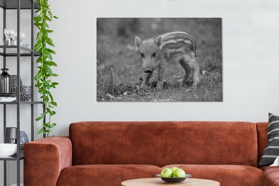 Canvas Schilderij Wild zwijn kalf in het gras - zwart wit - 120x80 cm - Wanddecoratie