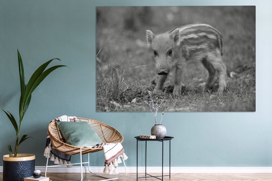 Tableau sur toile Veau sanglier dans l'herbe - noir et blanc - 150x100 cm - Décoration murale