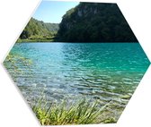 WallClassics - PVC Schuimplaat Hexagon  - Helder Meer bij Bossen - 50x43.5 cm Foto op Hexagon (Met Ophangsysteem)