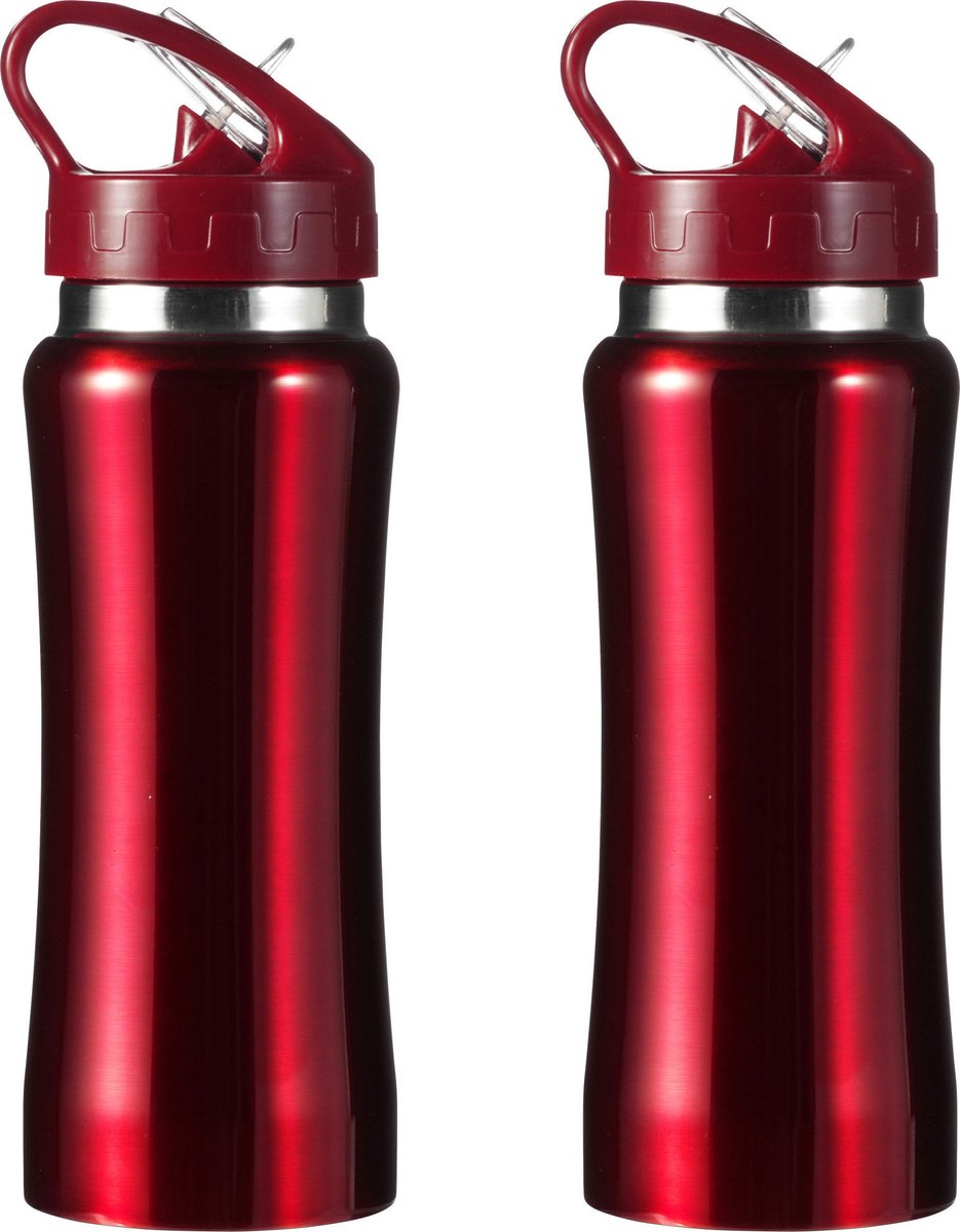 Set van 2x stuks luxe Drinkfles/waterfles 600 ml rood van RVS - Drinkflessen