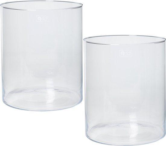 Set van 2x stuks transparante home-basics Cilinder vaas/vazen van glas 30 x 35 cm - Bloemen/boeketten - binnen gebruik