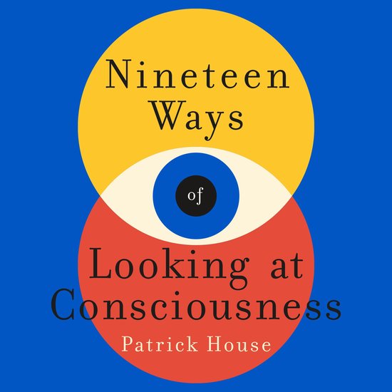 Nineteen Ways of Looking at Consciousness - cover