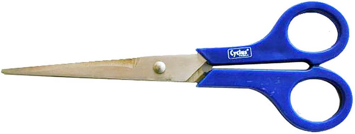 Cyclus Rvs Schaar Universeel 20cm Blauw (720333)