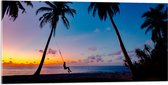 WallClassics - Acrylglas - Schommelen op een Tropisch Strand bij Zonsondergang - 100x50 cm Foto op Acrylglas (Met Ophangsysteem)