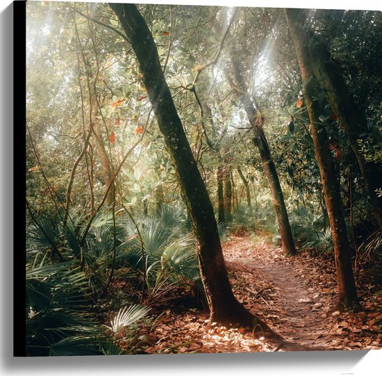 WallClassics - Canvas  - Bospad in een Tropisch Bos - 60x60 cm Foto op Canvas Schilderij (Wanddecoratie op Canvas)