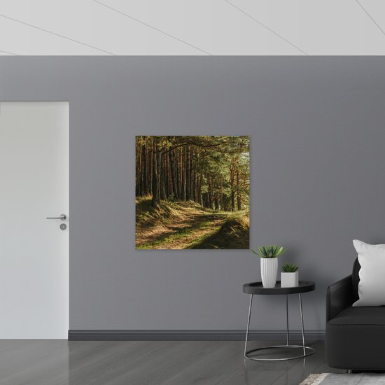 WallClassics - Sticker Muursticker - Belle Lumière du Soleil dans la Forêt - 100x100 cm Photo sur Sticker Muursticker