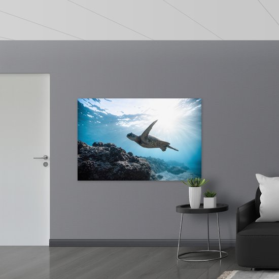 WallClassics - Poster Glossy - Tortue nageant sous Water - 150x100 cm Photo sur Papier Poster avec Finition Brillante