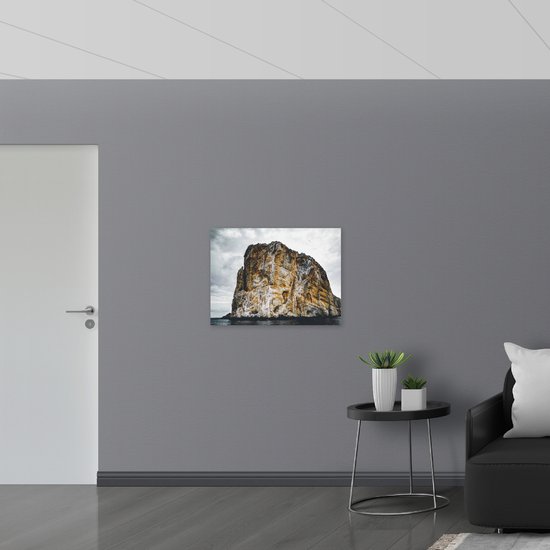 Hout - Grote Bruine Rots op het Water - 80x60 cm - 12 mm dik - Foto op Hout (Met Ophangsysteem)