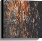 WallClassics - Canvas  - Close up van Boomschors - 40x40 cm Foto op Canvas Schilderij (Wanddecoratie op Canvas)