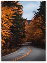 Canvas Schilderij Autumn Road