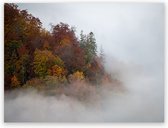 Canvas Schilderij Foggy Trees