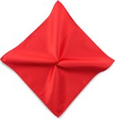 We Love Ties - Pochet rood repp