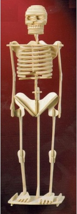 Kit de construction Squelette - Humain en bois
