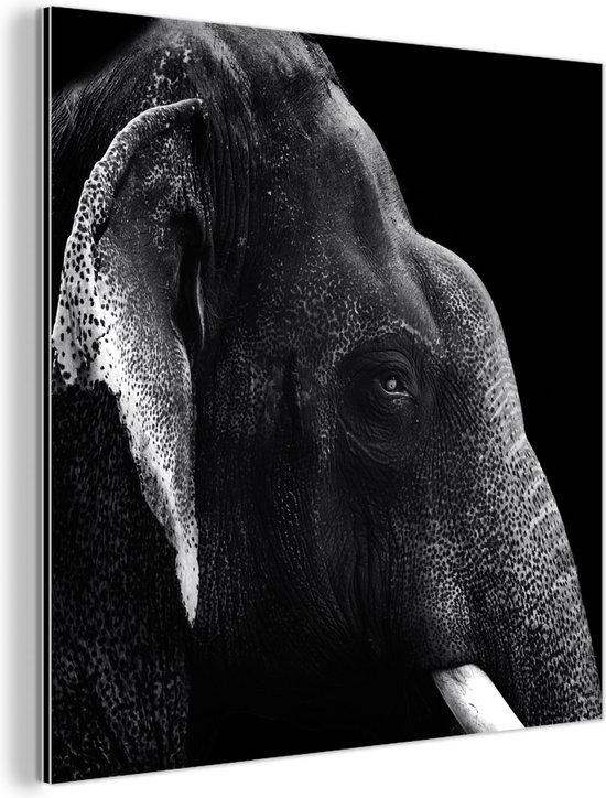 Wanddecoratie Metaal - Aluminium Schilderij Industrieel - Dierenprofiel olifant in zwart-wit - 20x20 cm - Dibond - Foto op aluminium - Industriële muurdecoratie - Voor de woonkamer/slaapkamer