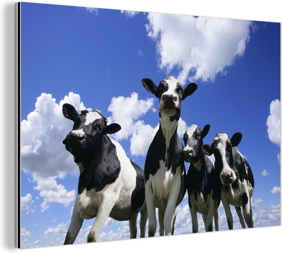 Lely › Fotoserie: De koeien zien de Collector als een soortgenoot en zijn er snel aan gewend | - Nieuws en kennis voor de houder Lely › Fotoserie: De koeien zien de Collector als een soortgenoot en zijn er snel aan gewend | - Nieuws en kennis voor de houder