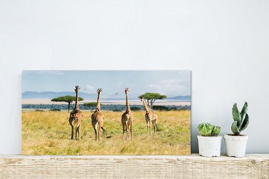 Wanddecoratie Metaal - Aluminium Schilderij Industrieel - Giraffen in het Masai Mara National Park in Kenia - 30x20 cm - Dibond - Foto op aluminium - Industriële muurdecoratie - Voor de woonkamer/slaapkamer