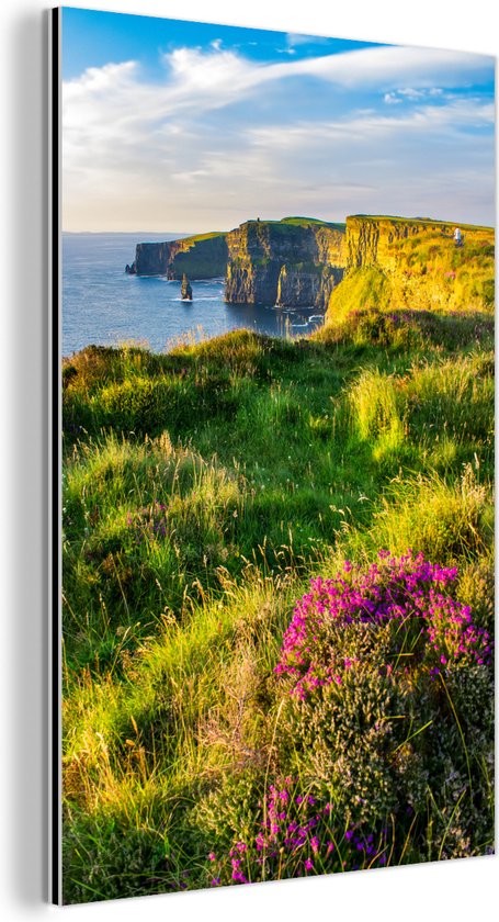 Décoration murale Métal - Peinture Aluminium Industriel - Fleurs irlandaises sur les Falaises de Moher - 100x150 cm - Dibond - Photo sur aluminium - Décoration murale industrielle - Pour le salon/chambre