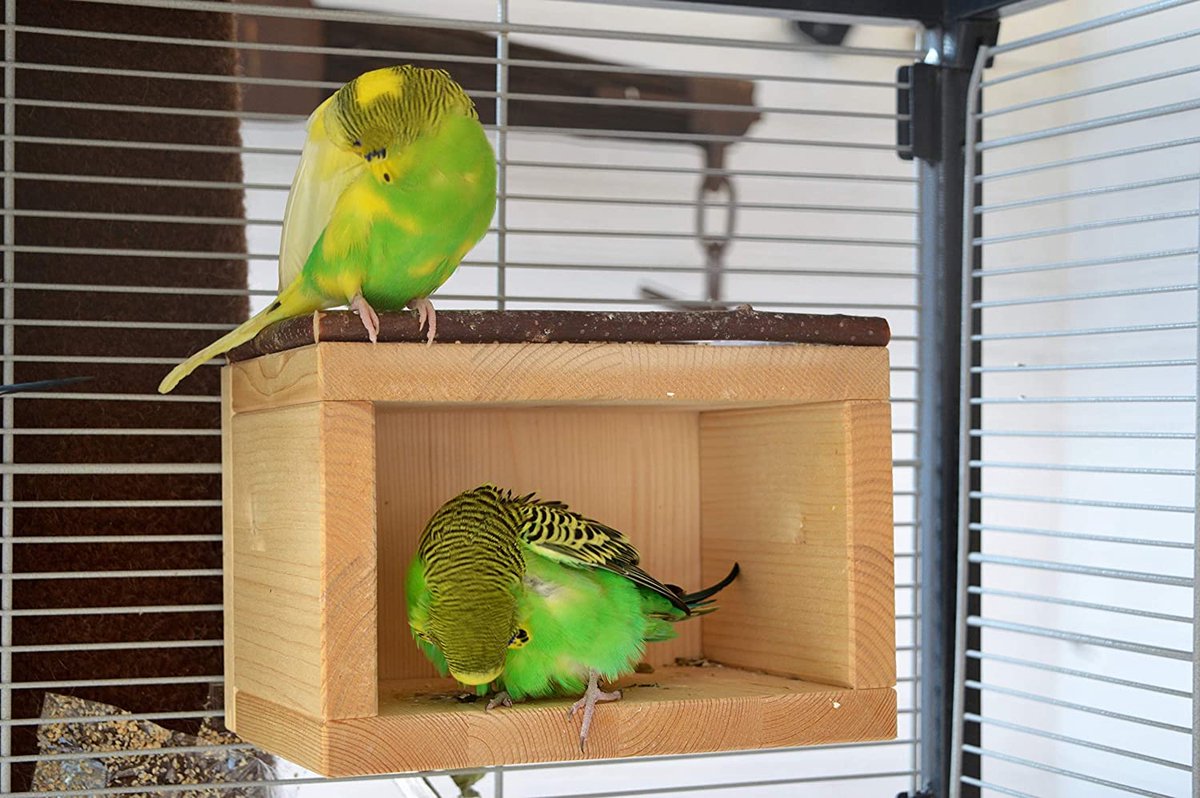 vogelkooi