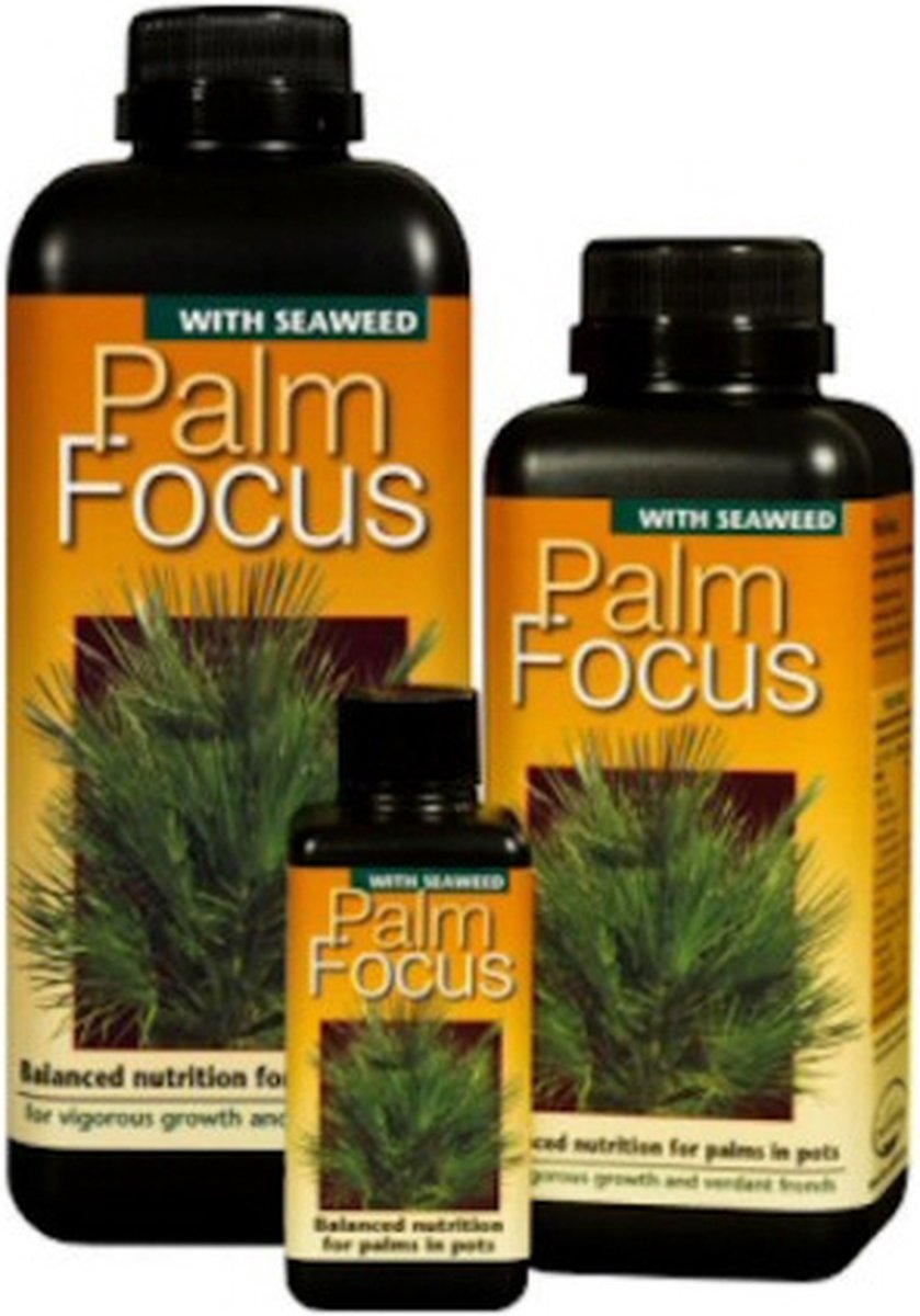 Palm Focus 1000ml | De beste voeding voor al je palmbomen ( buiten of binnenshuis ) | ( goed voor 200 liter voeding )