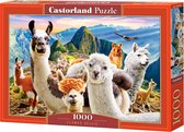 Castorland Llamas Selfie - 1000pcs