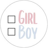 Gender reveal - Gender reveal stickers - Boy Girl - Stickers - Traktatiestickers - Traktatie - Sluitstickers