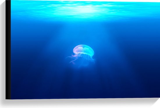 WallClassics - Toile - Méduse bleu clair dans la mer - 60x40 cm Tableau sur toile (Décoration murale sur toile)