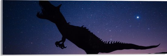 WallClassics - Acrylglas - Silhouette van een Dinosaurus in de Nacht - 60x20 cm Foto op Acrylglas (Wanddecoratie op Acrylaat)