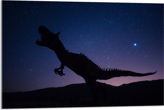 WallClassics - Acrylglas - Silhouette van een Dinosaurus in de Nacht - 90x60 cm Foto op Acrylglas (Wanddecoratie op Acrylaat)