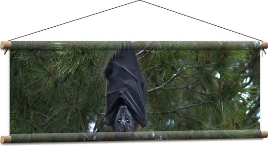 WallClassics - Affiche Textile - Chauve-Souris Accroche à un Arbre - 90x30 cm Photo sur Textile