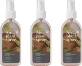 Tillandsia Spray voor luchtplantjes - Voordeel 3 stuks - Airplant verzorgingspray - 80 ml