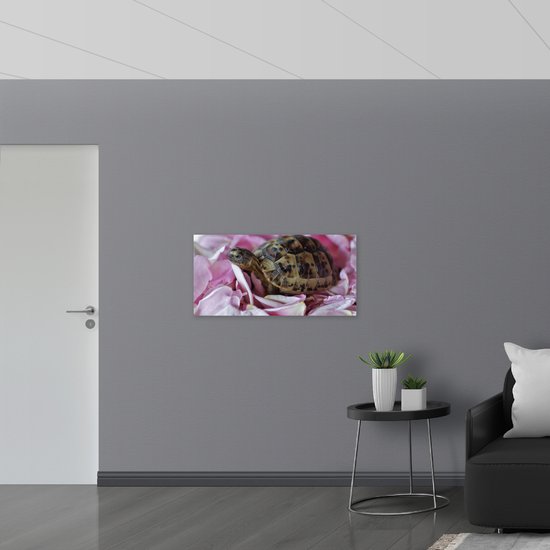 WallClassics - Poster (Matte) - Tortue entre Pétales Roses - 100x50 cm Photo sur Papier Poster avec un aspect Mat