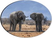 WallClassics - Dibond Ovaal - Twee Olifanten bij een Beekje - 28x21 cm Foto op Ovaal (Met Ophangsysteem)