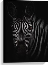 WallClassics - Canvas  - Zebra in het Donker Zwart-Wit - 40x60 cm Foto op Canvas Schilderij (Wanddecoratie op Canvas)