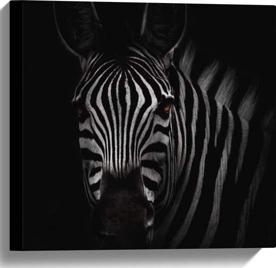 WallClassics - Canvas  - Zebra in het Donker Zwart-Wit - 40x40 cm Foto op Canvas Schilderij (Wanddecoratie op Canvas)