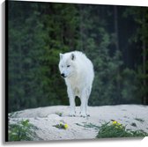 WallClassics - Canvas  - Witte Wolf op een Rots - 100x100 cm Foto op Canvas Schilderij (Wanddecoratie op Canvas)