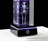Menselijk skelet - In glas gegraveerd - 50 x 80 mm