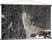 WallClassics - Textielposter - Huilende Wolf in de Sneeuw - 120x80 cm Foto op Textiel
