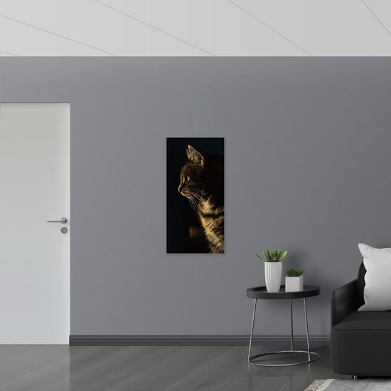 WallClassics - Poster (Matte) - Chat dans la nuit - 50x100 cm Photo sur Papier Poster d'aspect Mat