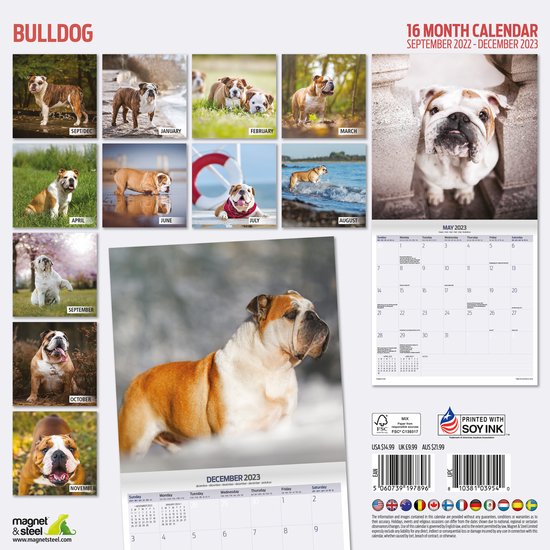 Kalender 2026 LANZ Bulldog Classic | Kalender 2026 | Kalender | Kalender, Bücher & Poster Kalender 2026 LANZ Bulldog Classic | Kalender 2026 | Kalender | Kalender, Bücher & Poster