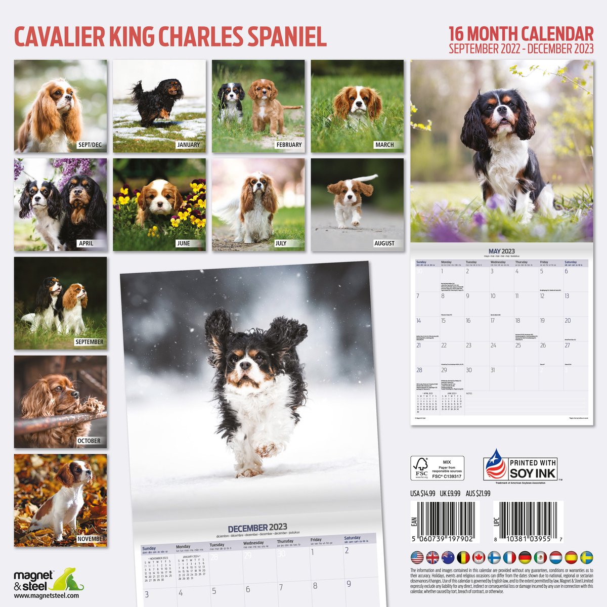 Mon Calendrier Mural : Calendrier de photos de colleys