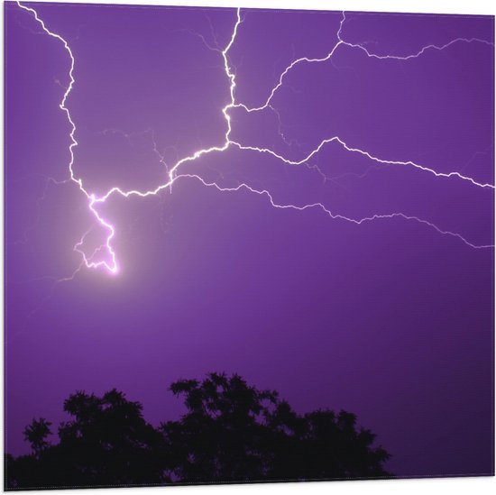 WallClassics - Drapeau - Foudre dans un ciel violet au-dessus d'un arbre - Photo 80x80 cm sur drapeau en polyester