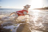 EzyDog Rashies Shirt voor Honden - Hondenkleding - 30cm - Rood