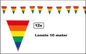 12x Vlaggenlijn Regenboog 10 meter - Kleur pride fun zomers thema feest vrolijk verjaardag festival