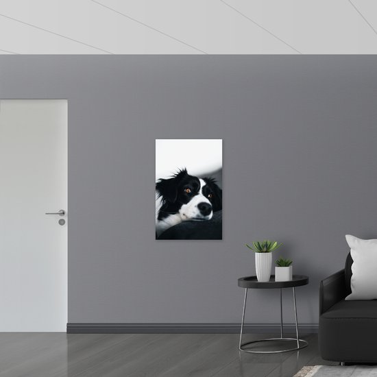 WallClassics - PVC Schuimplaat - Zwart/Witte Hond op de Bank - 60x90 cm Foto op PVC Schuimplaat (Met Ophangsysteem)