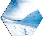 WallClassics - Dibond Hexagon - Sneeuwvlakte in de Bergen - 40x34.8 cm Foto op Hexagon (Met Ophangsysteem)