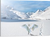 WallClassics - Dibond - Zwaan in Besneeuwde Bergen - 80x60 cm Foto op Aluminium (Met Ophangsysteem)